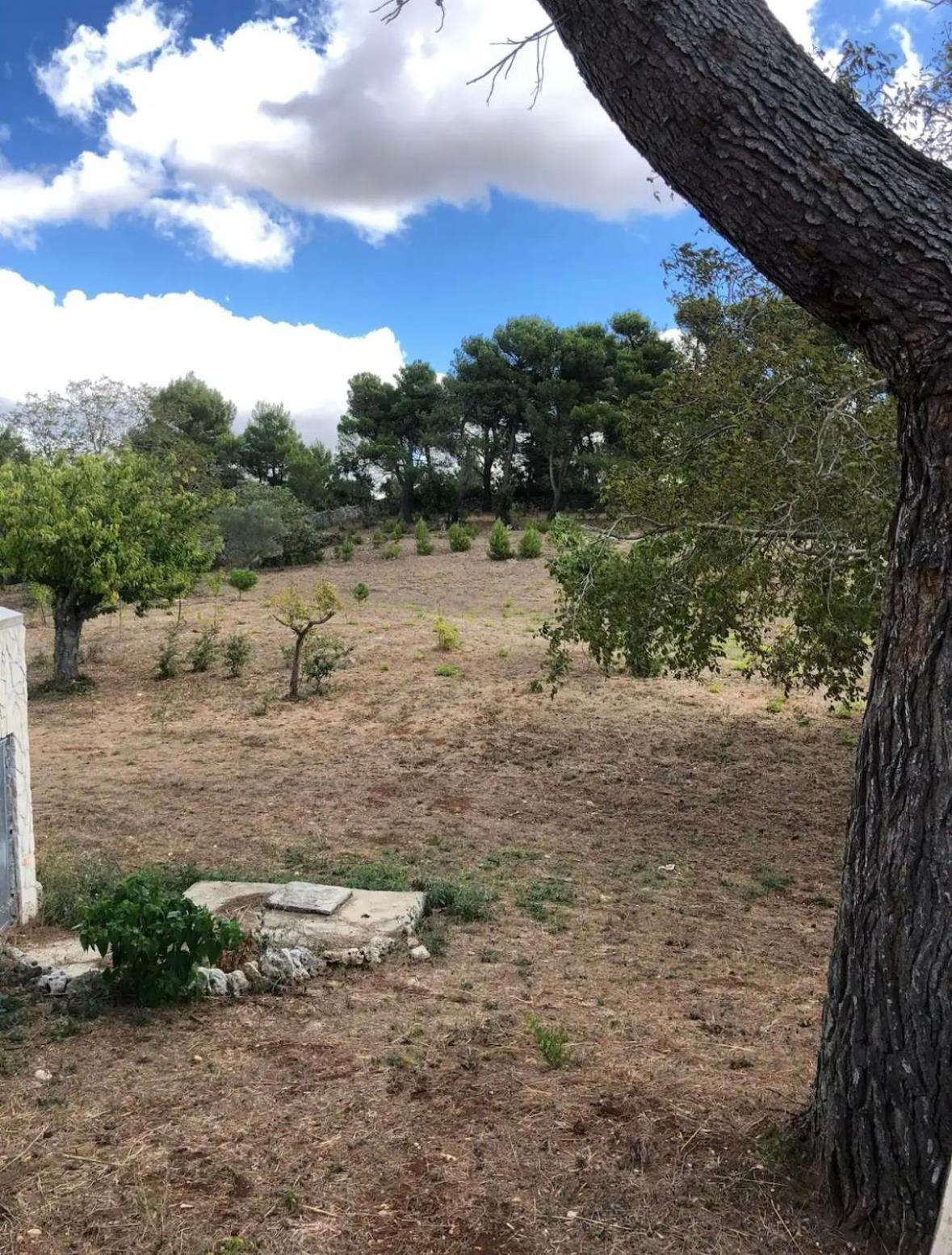 Il Trullo Dg Vila Martina Franca Exterior foto